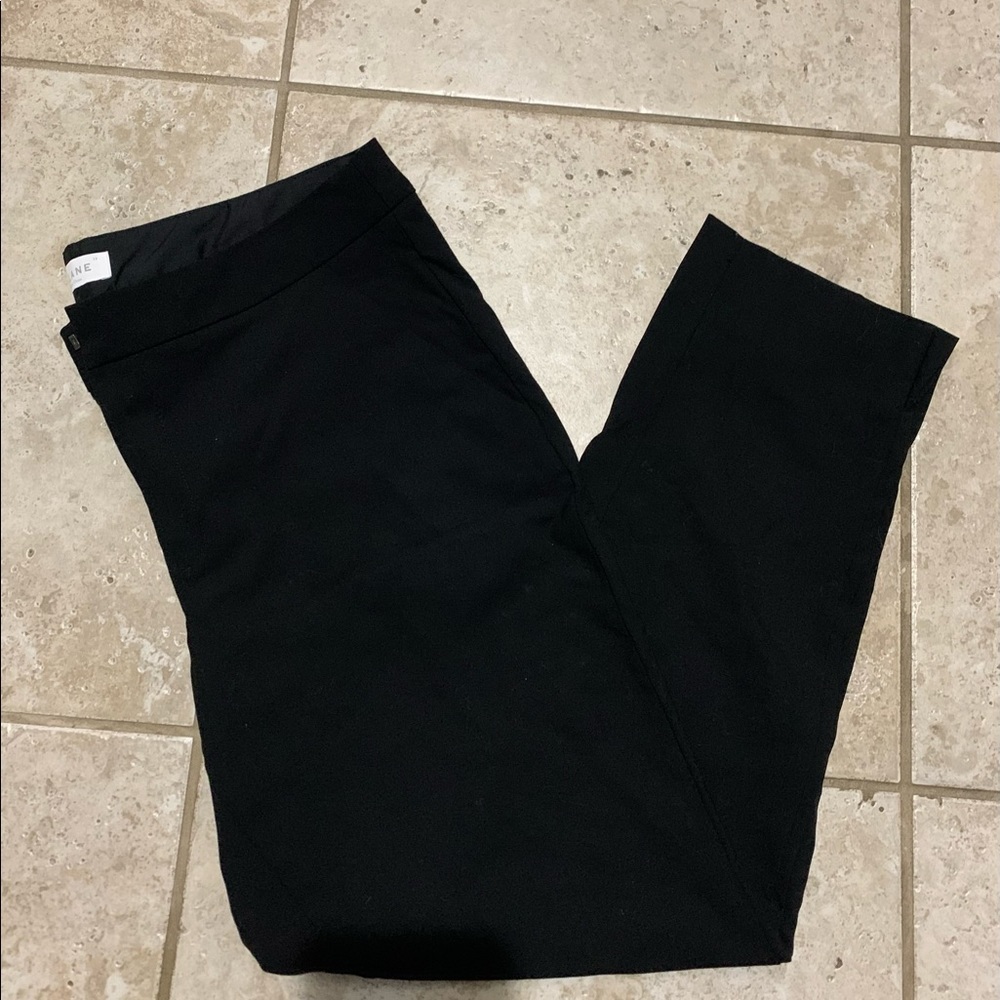 - Everlane black, cropped, straight legged pants
